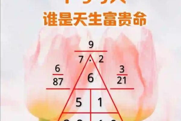探寻富贵命的奥秘：如何从命理看人生的辉煌与成功