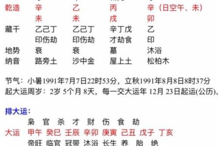 胎元城墙土命：解锁命理密码，探索灵魂的根源与命运之路！