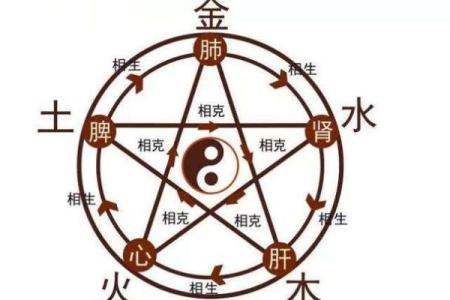探寻壬寅年五行奥秘,揭秘你的命运之路!
