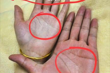 探秘手掌厚的秘密:为何厚手掌的人命运更佳?