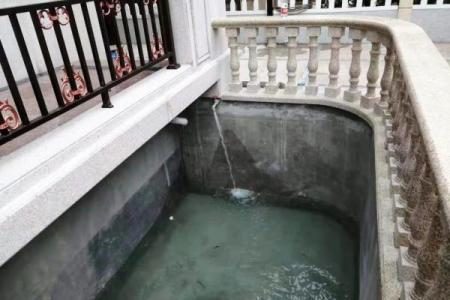 鱼池管理:破解一命二运三的秘密,助力养鱼成功之路!