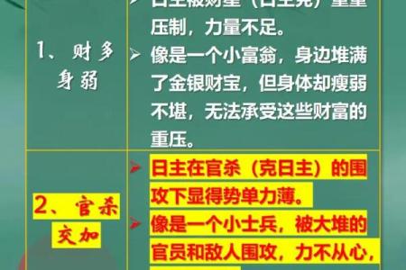 杨柳木命男的五行解析:探寻命理背后的智慧与艺术