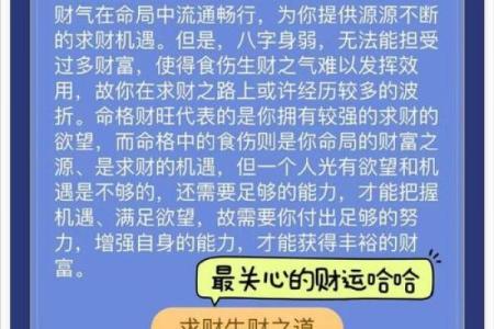 算命究竟是什么命，探寻命理背后的秘密！