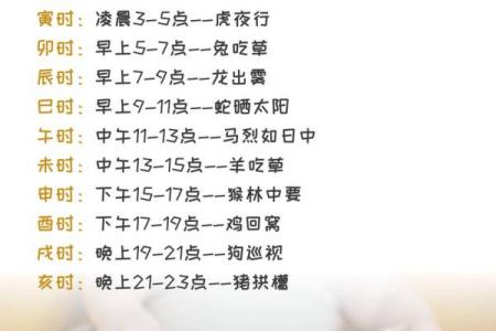 探索命理:时辰与人生的奇妙联系