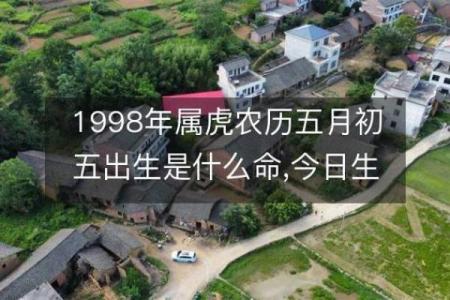 一九八六年出生的虎命:勇敢与智慧并存的精彩人生