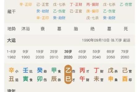 探寻辛酉日出生女性的食神，揭示命理中的独特魅力与智慧