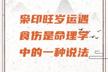 印绶的颜色象征与命局分析：探索五行之美与神秘