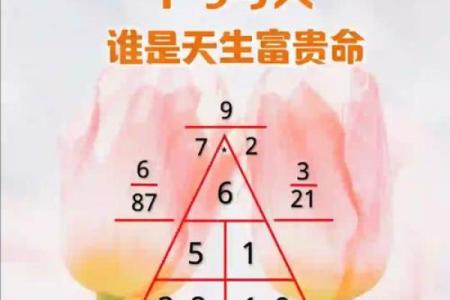 探寻富贵命的奥秘:如何从命理看人生的辉煌与成功
