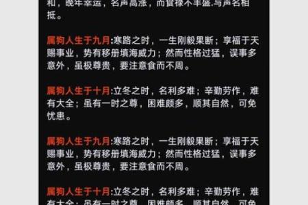 探秘壬戌年狗的命格与运势，破解你我命中注定！