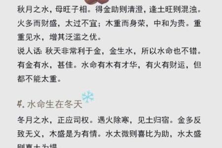 水命人与木命结合的和谐美好生活探讨