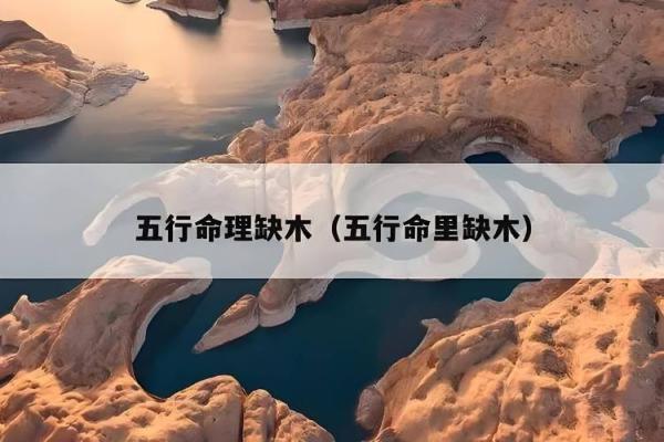 土木相生，探索命理中的土与木的奥秘