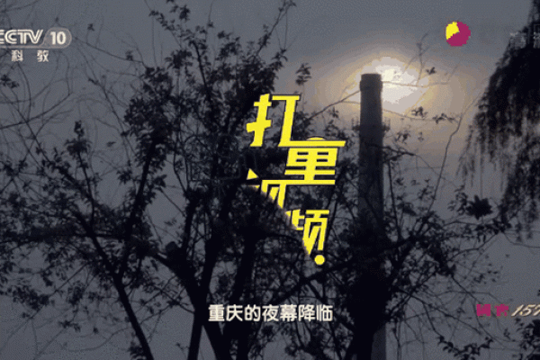 夜幕降临：探寻晚上八点出生男性命格的奥秘