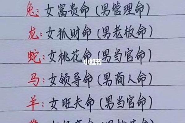 探秘：十二属相男人的命运与性格解析