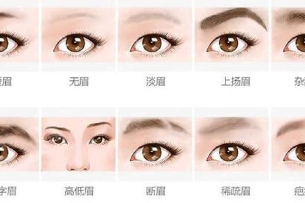 五官与命运：揭示富贵命的面相密码