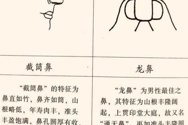 探秘女命命硬的特征与人生轨迹