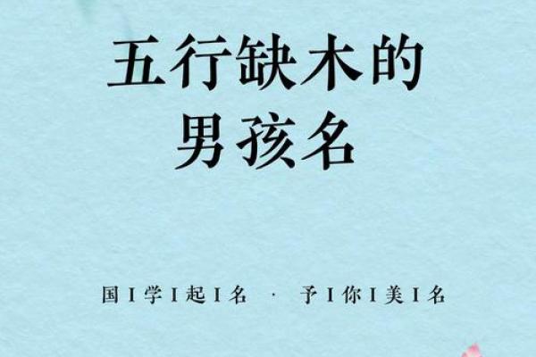 探寻木命人的五行之缺：赋予生命以平衡与和谐