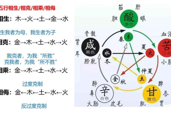 探索命理中的五行之说，解读命运与个体的关系