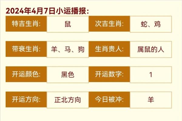 鼠属相命理揭秘：聪慧灵动之人的命运轨迹