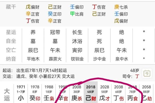 鼠属相命理揭秘：聪慧灵动之人的命运轨迹