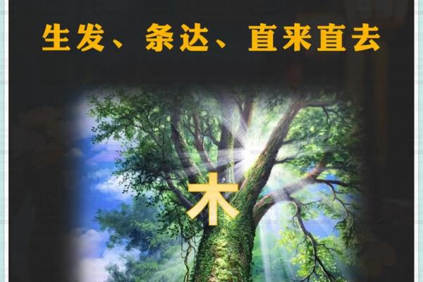 五行缺水木命的深层解读与生活指导