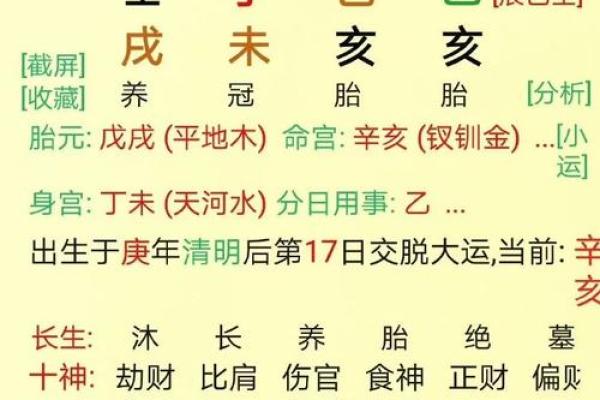 水运在八字中的意义：女性命理与人生流转