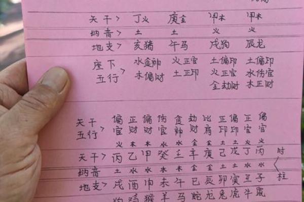 五六月出生的属相与命运解析：探索命理的奥秘与人生的符号