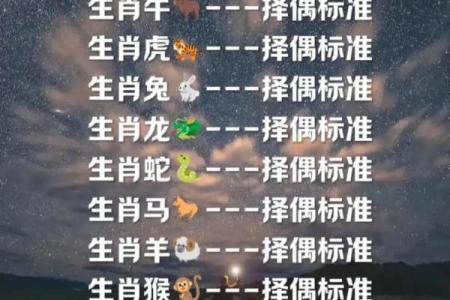 探秘：十二属相男人的命运与性格解析
