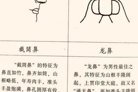探秘女命命硬的特征与人生轨迹