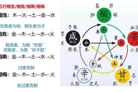 探索命理中的五行之说,解读命运与个体的关系