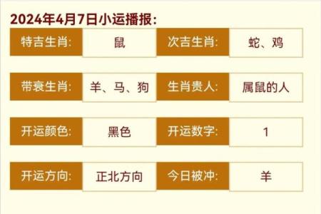 鼠属相命理揭秘：聪慧灵动之人的命运轨迹