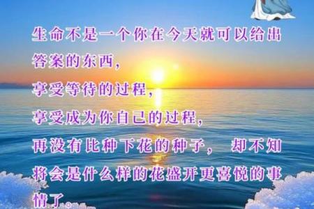为什么人只有一条命？探寻生命的稀有与珍贵