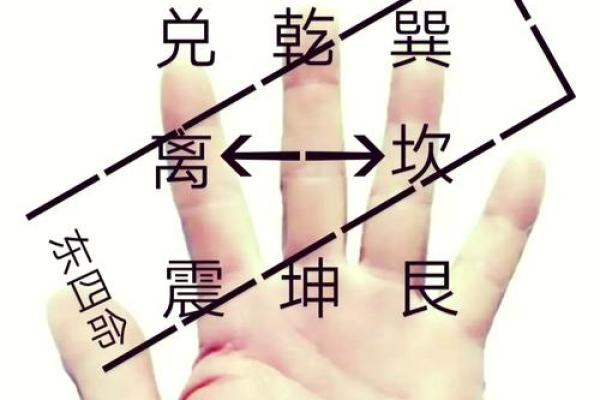 探索西四命与东四命的奥秘，揭示人生运势的密码！