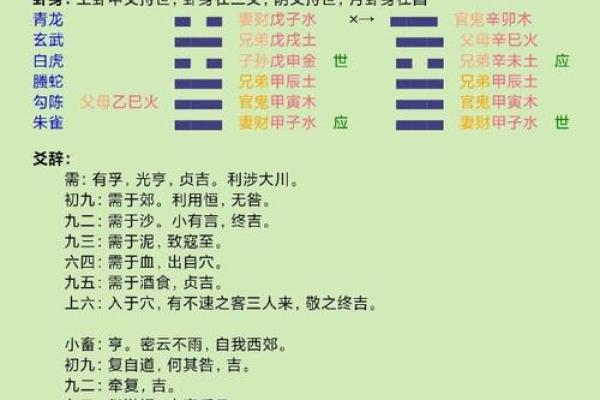 土命人的选择：适合打的伞与风水的奥秘