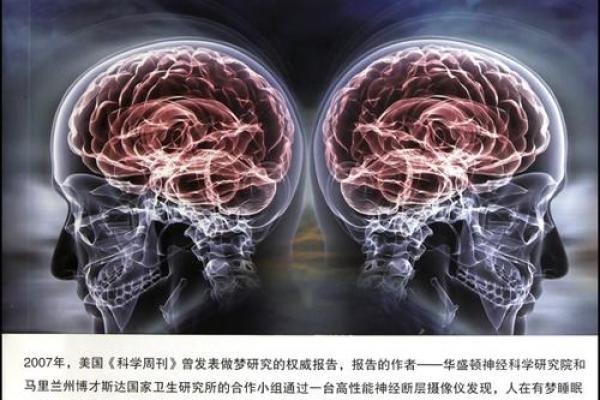 探讨男人员外命：命运与人生的别样诠释