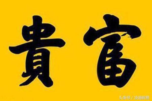 探讨男人员外命：命运与人生的别样诠释