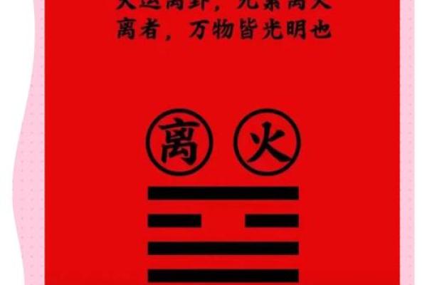 探索太阳火命：五行中的光辉与热情