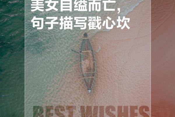 我拼了命地想着你，情感的绳索紧紧相连