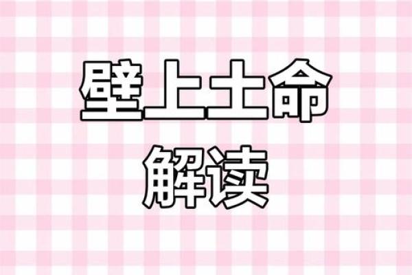探索土命的奥秘：解读生命中的土元素与命运的关联