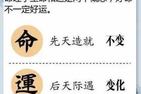 有福之命：解读命运中的幸福与机遇