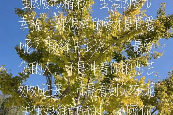 探寻长生不老的愿望：人类对永恒生命的渴望与追求