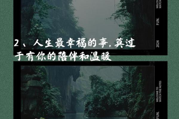 相依为命：在平淡生活中寻找温暖与陪伴的意义
