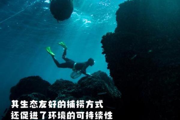 探秘生大海水命的神秘特质与影响力