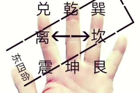 探索西四命与东四命的奥秘,揭示人生运势的密码!