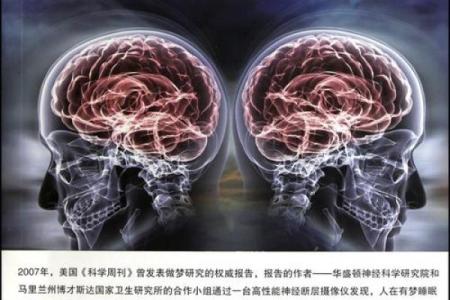 探讨男人员外命:命运与人生的别样诠释