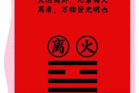 探索太阳火命：五行中的光辉与热情