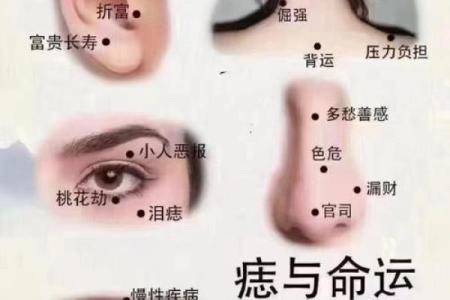 童子命与嘴下痣的奥秘:解读命运与性格的深层含义