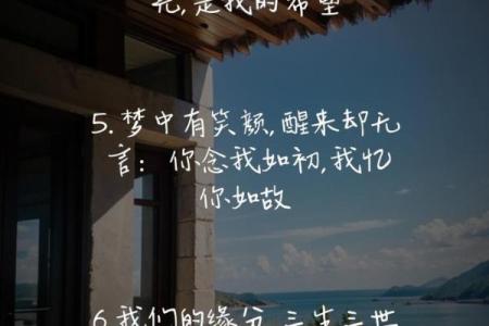相依为命:在平淡生活中寻找温暖与陪伴的意义