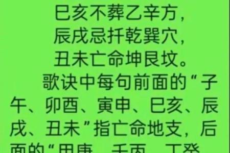 震命与巽命:命理之中的独特风采与人生哲学