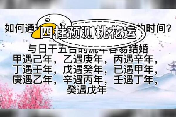 桃花坐命详解：探秘命理中桃花的魅力与影响