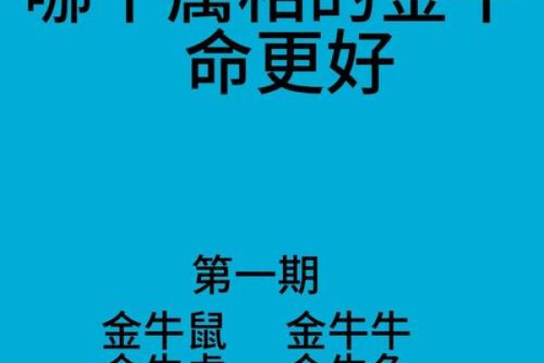 探秘命运：最苦命生肖背后的故事与真相